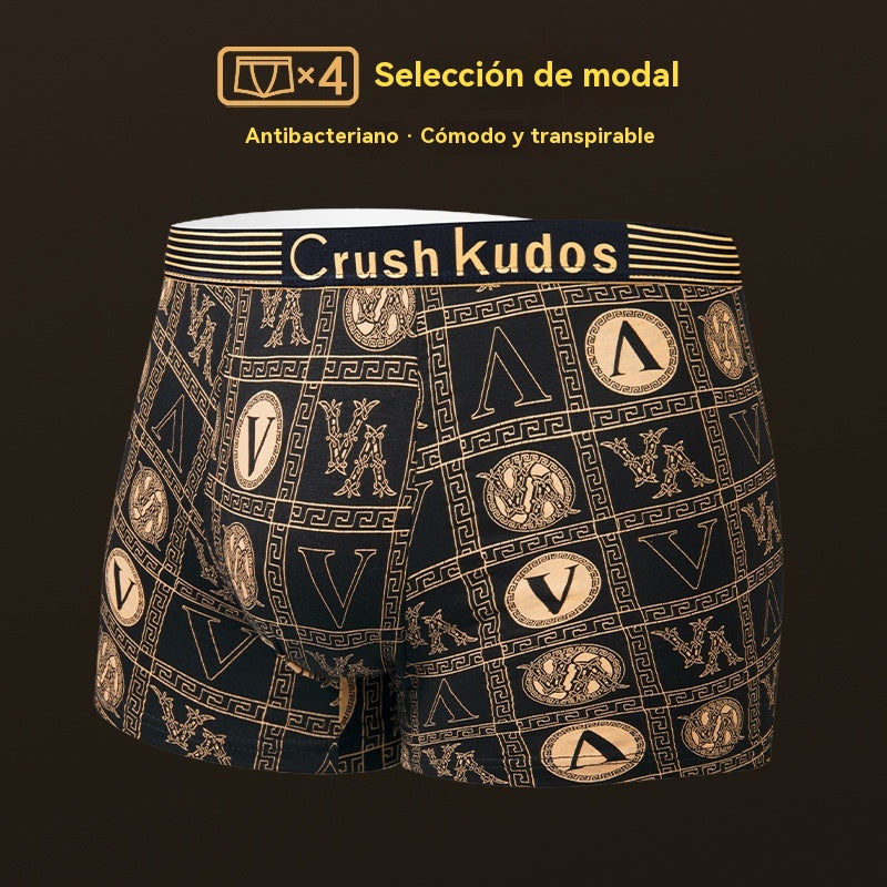 🔥【Kupte 2 a získejte 2 zdarma】🚹✅💥【40-140 kg】Pánské prodyšné spodní prádlo z ledového hedvábí, bezešvé pohodlné spodní prádlo, nadměrné velikosti, módní potisk