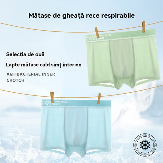😎💥 (5 bucăți) Promoție de produse noi de vară: Boxer pentru bărbați, din mătase de gheață, cu plasă respirabilă